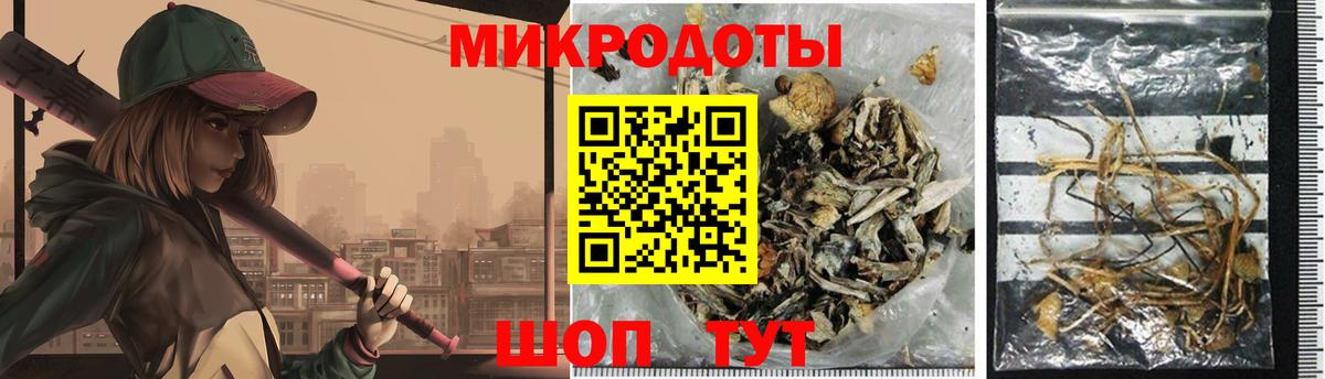 Псилоцибиновые грибы мухоморы Вятские Поляны